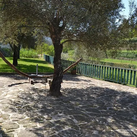 Casa Da Azenha - Quinta Vila Franca בית נופש קאבקסיירס דה באסטו