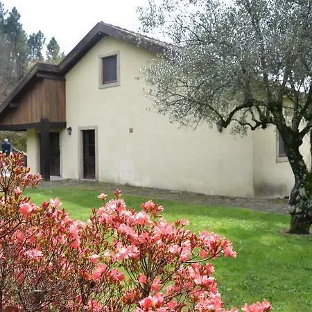 Casa Da Azenha - Quinta Vila Franca בית נופש קאבקסיירס דה באסטו